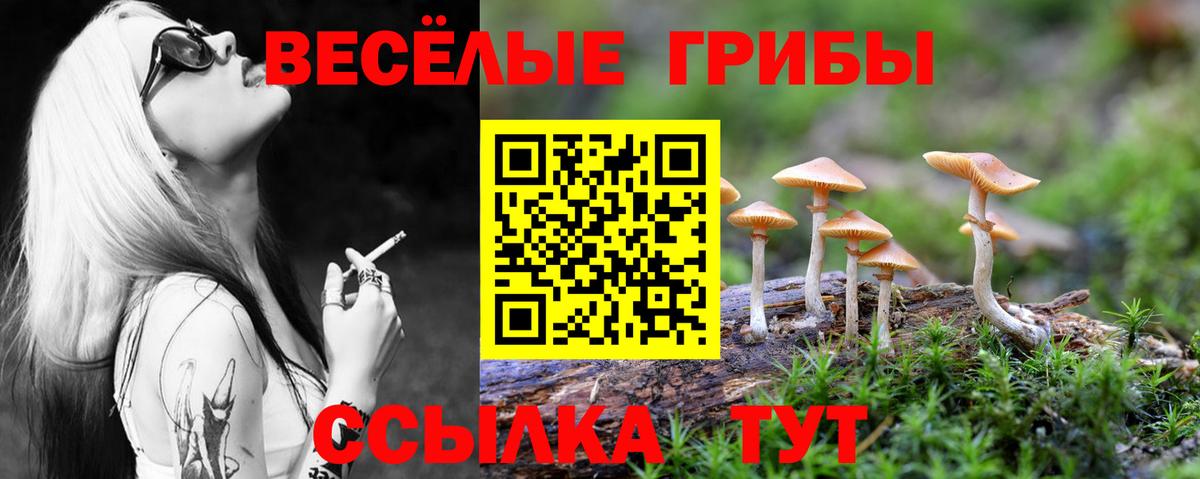 Галлюциногенные грибы MAGIC MUSHROOMS Шадринск
