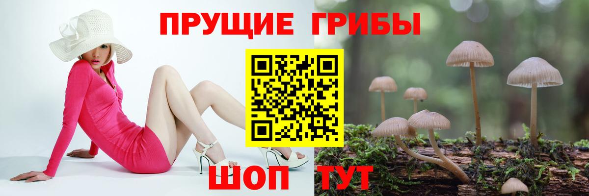 Галлюциногенные грибы GOLDEN TEACHER  Псилоцибиновые грибы мицелий  Вход с VPN  Шадринск 